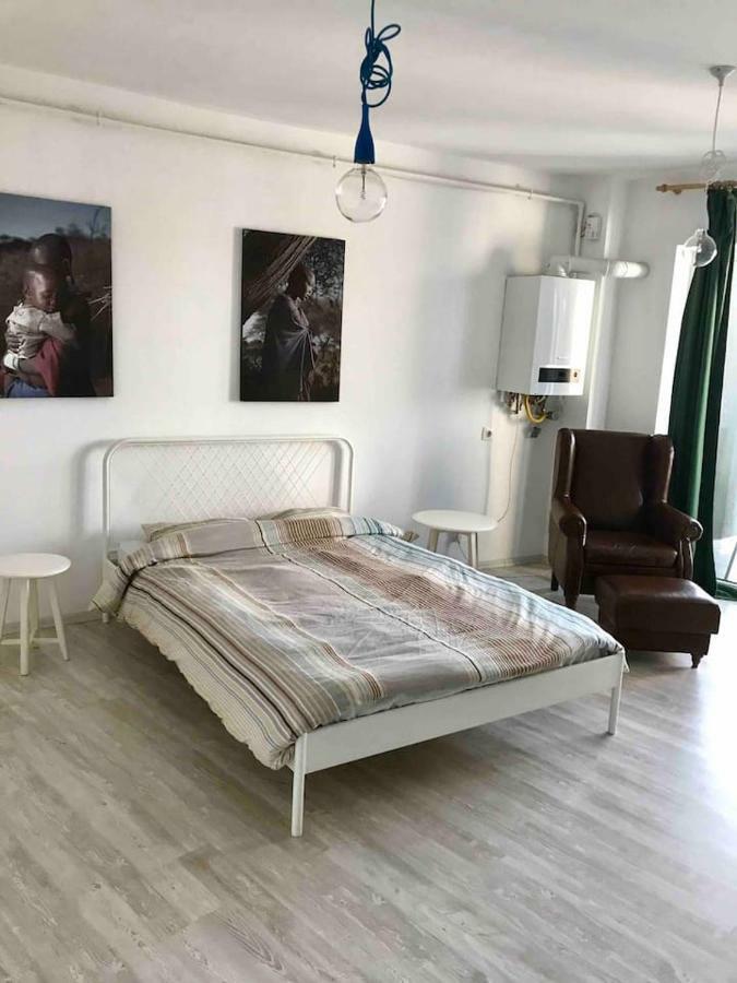 Beautiful Studio Near The Center Of Cluj Extérieur photo